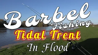 BARBEL Fishing Tidal Trent in FLOOD