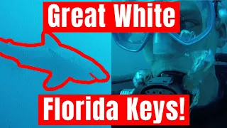 Great White Shark While Scuba Diving in the Florida Keys, (Full Footage)