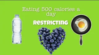 What i eat in a day of restriction | 500 calories a day diet Tw