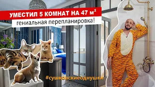 Удивительная перепланировка 47 кв м с 5 зонами функционала