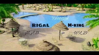 Rigal FT M-KinG FT M. A. D X W. L. D ( Réseaux) EP1