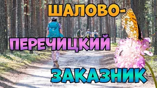 Шалово-Перечицкий заказник