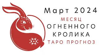 Таро прогноз на месяц огненного кролика 🐇 март 2024 для всех элементов личности