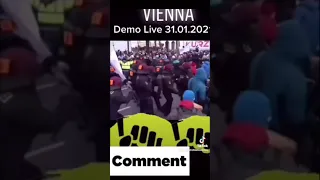 Wien Demo , Vienna Protest , Proteste Viena , 31.01.2021