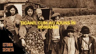 ȚIGANII, CUM AU AJUNS  ÎN ROMÂNIA