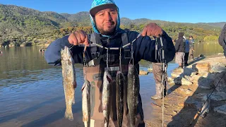 Caught My Trout Limit 🔥 Bite at SILVERWOOD LAKE 5000 LB Mt.Lassen 4/29/24 Limite  de Pesca de Trucha