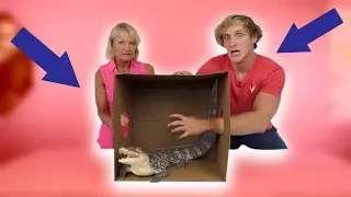 DEADLY WHAT'S IN THE BOX CHALLENGE! **Live Animals**