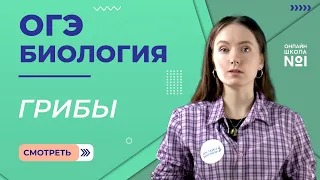 Грибы. Биология ОГЭ