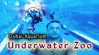 OMG! World Largest Underwater Zoo & Aquarium🐬Must Watch Dubai Mall | World Of Adventure DUBAI🔥🔥