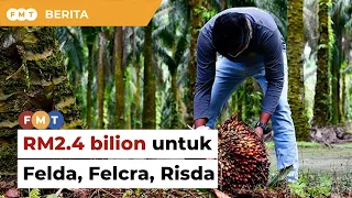 BELANJAWAN 2024: RM2.4 bilion untuk Felda, Felcra dan Risda