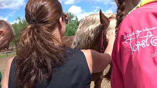 Калгановский конный завод. Лужский район.