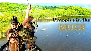 Ultra Shallow Spring Crappies (Best Crappie Fishing EVER)