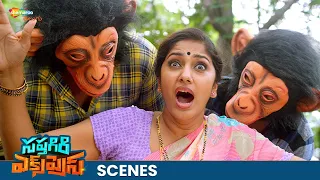 Sapthagiri And Shakalaka Shankar Punishes Jhansi😂 | Sapthagiri Express Movie Best Scenes | Shemaroo