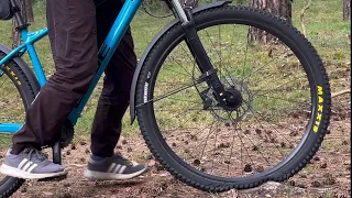 Soft Mountainbike tire on a root