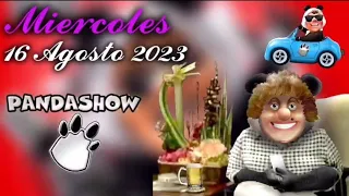 El Panda Show del 16 de Agosto del 2023