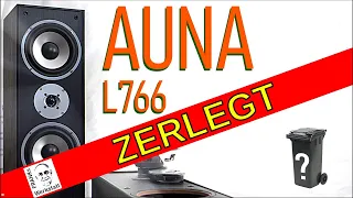 Leider alle Erwartungen erfüllt | AUNA L766 | Gibt's BASS für 79,-€ #DINGENIEURSKUNST