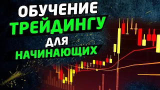 Обучение трейдингу для начинающих трейдеров. Трейдинг