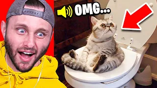 REACTING To CUTE CAT VIDEOS (io Games)