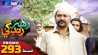 Zahar Zindagi - Ep 293 Promo | Sindh TV Soap Serial | SindhTVHD Drama