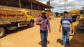 FABRICAÇÃO DE BLOCOS CERÂMICO NO SERTÃO NORDESTINO DO BRASIL