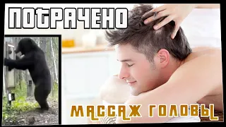 Потрачено. Массаж головы. Лучшие приколы, смешные видео и фейлы