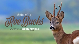 A PASSION FOR ROEBUCK
