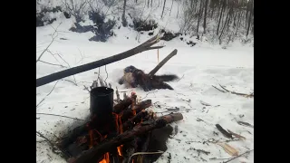 Закрытие путика  Подя к нам щедр  Развозим отраву на волков