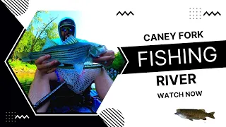 Caney Fork River fishing! Multi Species Day!