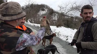 ANADOLUDA YABAN DOMUZU AVI /  WILD BOAR HUNTING IN ANATOLIA