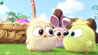 The Angry Birds Movie: Easter Greetings from the Hatchlings