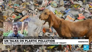 Representatives gather to negotiate world’s first plastic pollution treaty in Nairobi • FRANCE 24