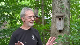 Supporting Native Wildlife with Native Plants in Your Own Backyard - Krause Wildlife Sanctuary