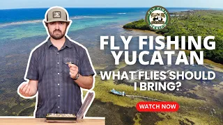 Essential Flies for Fly Fishing the Yucatan for Tarpon, Bonefish, and Permit