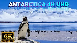 FLYING OVER ANTARCTICA (4K UHD)Relaxation Music Along With Beautiful Nature Videos(4K Video UltraHD)