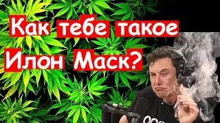 Как тебе такое Илон Маск?