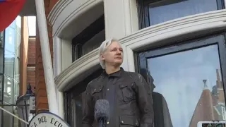 WikiLeaks: Ассанж может быть арестован