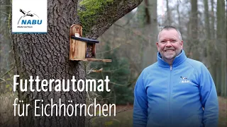 Eichhörnchenfuttergerät / Schaufutterstelle NABU Gut Sunder