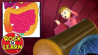 Digestive System Explained for Kids – Log Ride Song by Rock 'N Learn