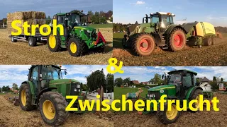 Stroh und Zwischenfrucht