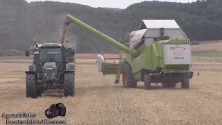 [HD] Dreschen 2k16 mit Claas MEGA 350 & Fendt 716 [GoPro]