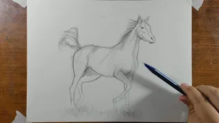 Cómo Dibujar un BOCETO en Tiempo Real a Lápiz - Caballo