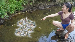 Unique Fishing | Use a Pump To Suck Water Out Of The Lake - Harvesting Many Big Fish In The Lake