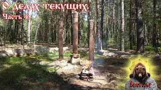 О делах текущих   Часть 4