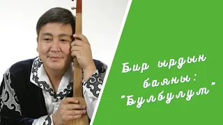 Бир ырдын баяны: "Булбулум"