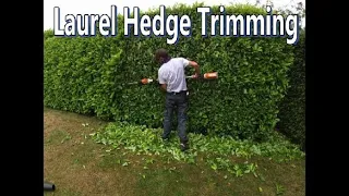 Relaxing landscape hedge trimming