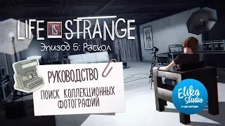 Коллекционные фотографии | Life Is Strange ep.5: Раскол (руководство)