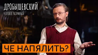 Как появилась одежда у предков // Дробышевский. Человек разумный