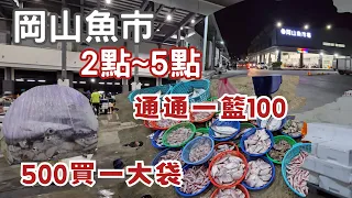 岡山深夜魚市：一盆100元吃不完丨蛤蜊超飽滿，煮出好吃蛤蜊蛋丨養殖魚種幾十樣任君選購丨海鱺1kg 超便宜