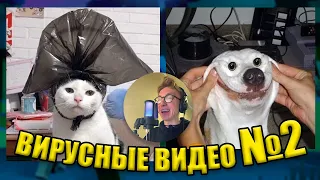 ВИРУСНЫЕ ВИДЕО / Подборка смешные моменты №2