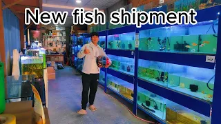 Exciting new fish shipment :"Unboxing Excitement: New Fish Arrival!"